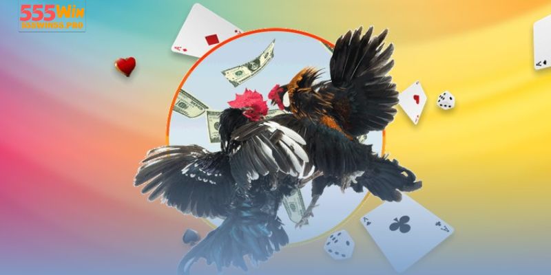 Vai trò của trải nghiệm người dùng