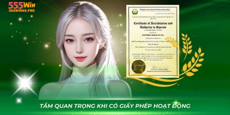 Tổng quan trọng của giấy phép hoạt động